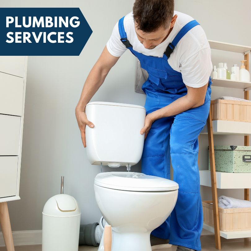 Plumbing Company in Dayton, NV